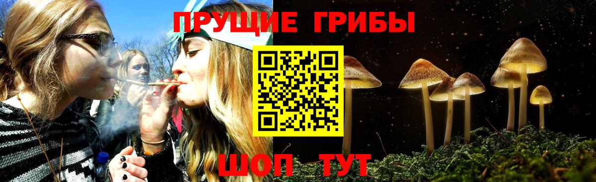 Галлюциногенные грибы Magic Shrooms Люберцы